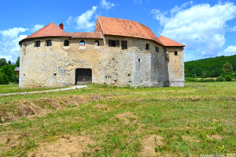Ribnik