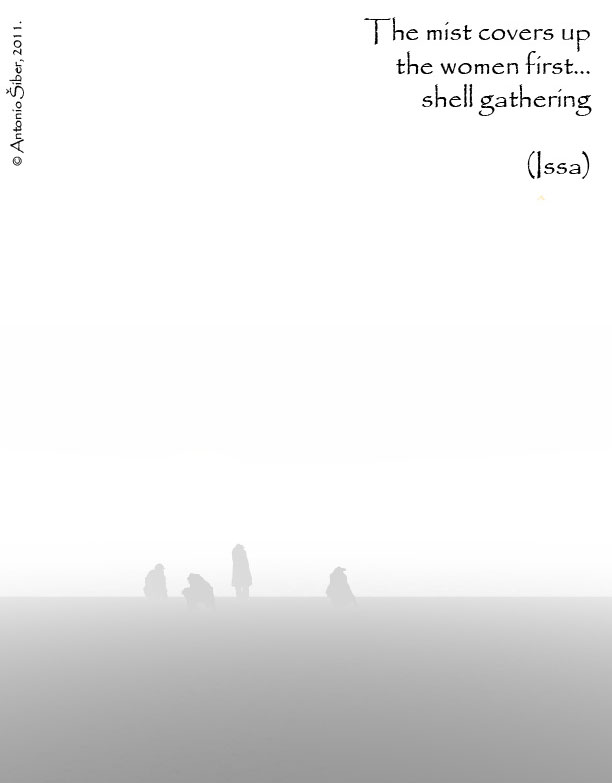 shore, haiku, fog, shells, Issa