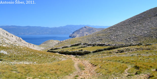 pogled natrag