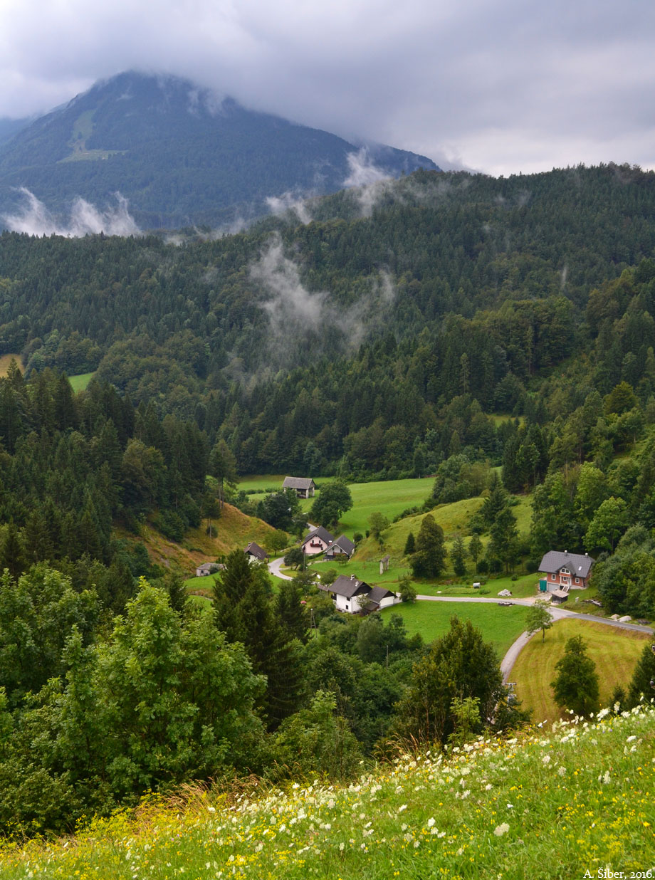 Šume, Sorica