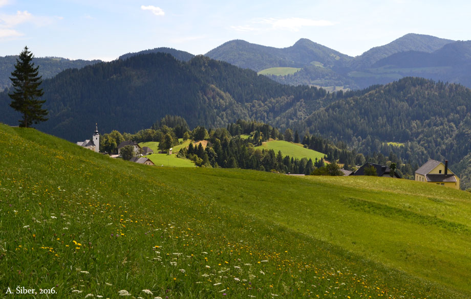Sorica, sjenici