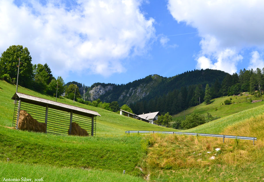 Sorica, sjenici