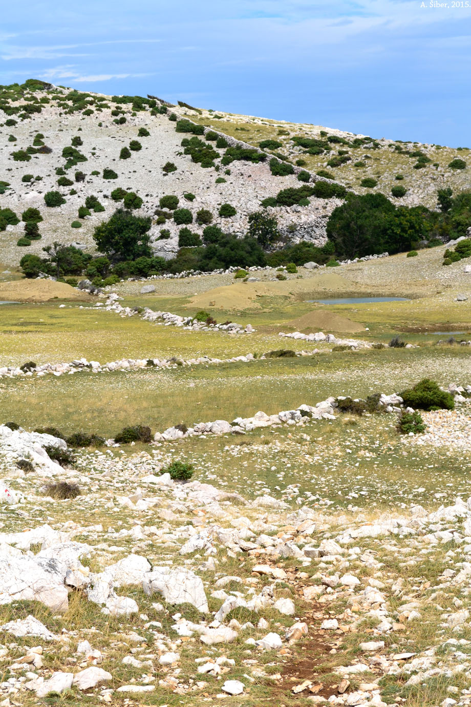 Obzovo, lokva