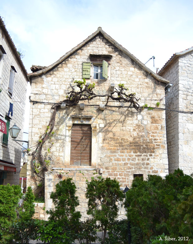kuća s vinovom lozom, Trogir