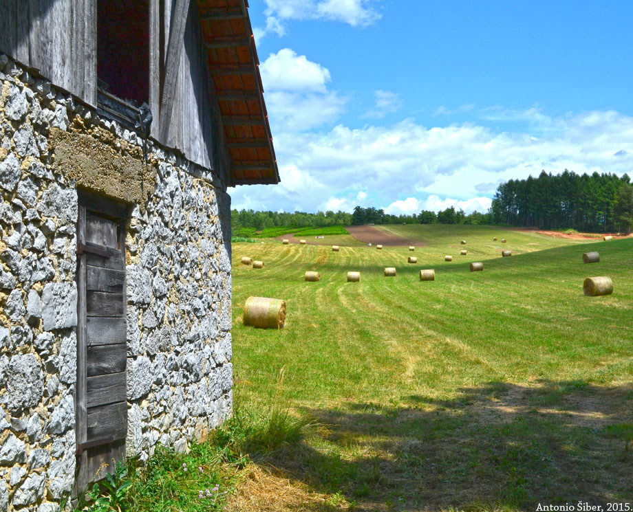 Jarnevići