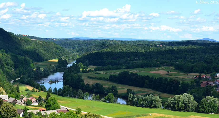 Vinica, Kupa