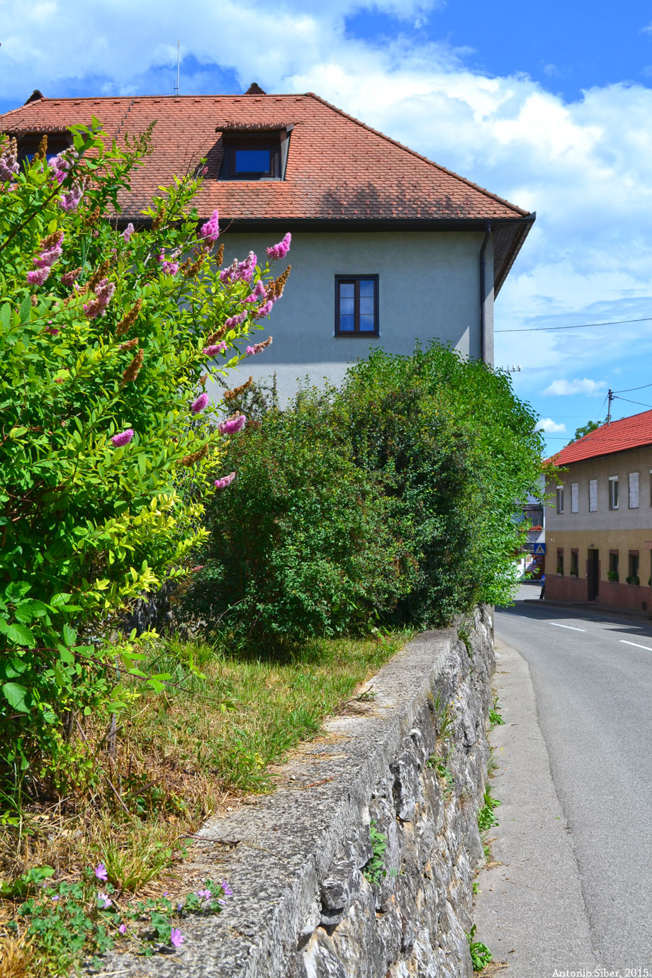 Vinica