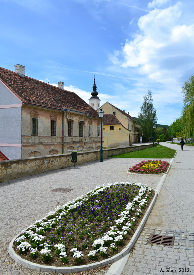 Varaždinske Toplice. Cvijeće.