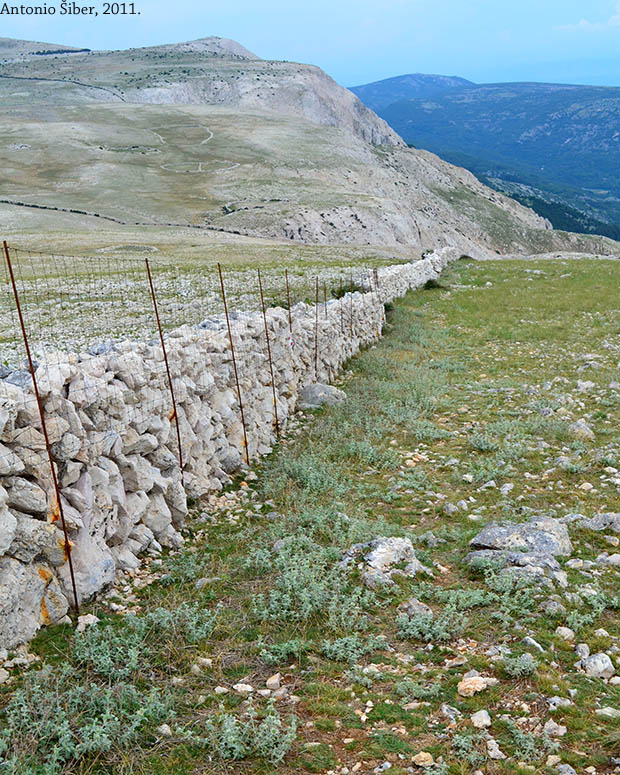 suhozid prema Velom Hlamu