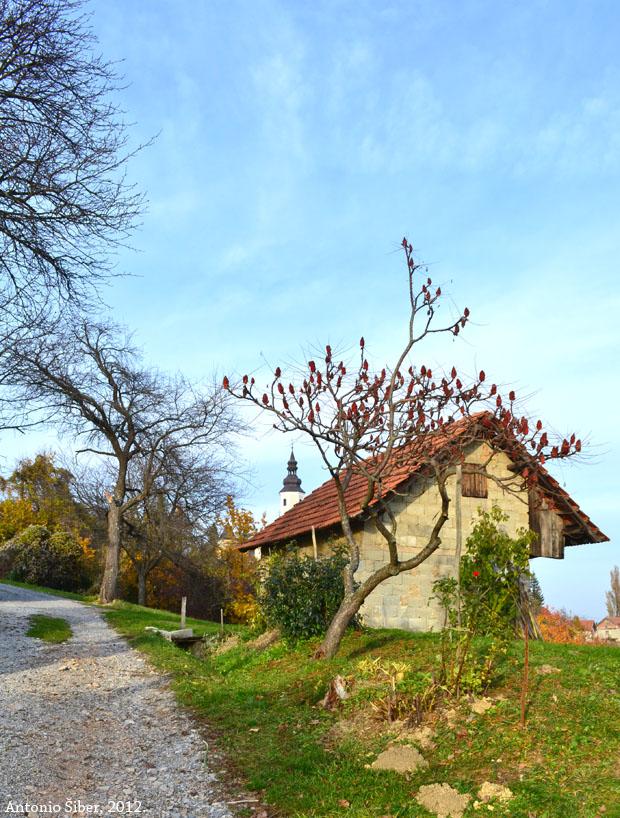 Vinagora, crkva