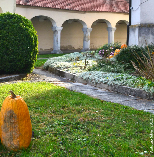 Vinagora, crkveno dvorište