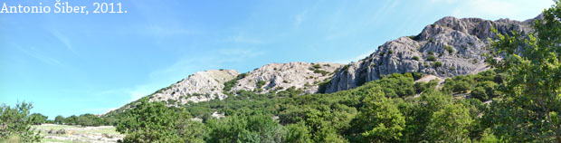 panorama 1