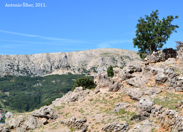 pogled 1
