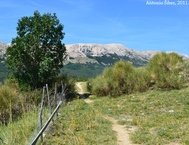 pogled 3