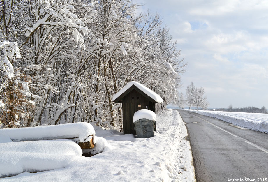 Pored ceste. Turopolje.