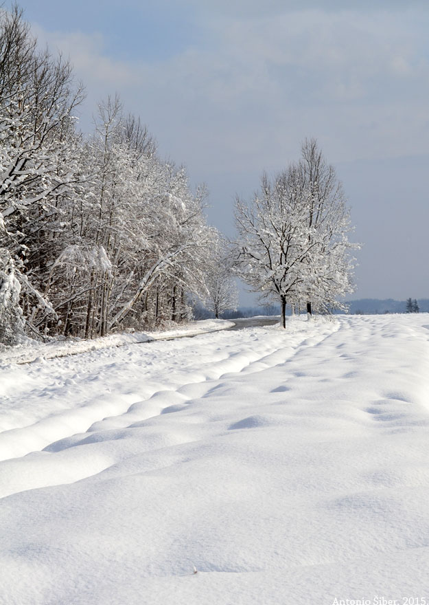 Pored ceste. Turopolje.