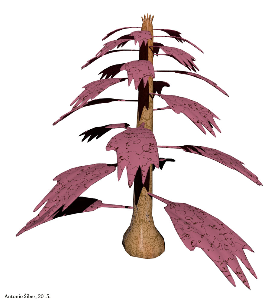 Šiber, predavanje, Alkarski dvori, Sinj, vanzemaljska biljka