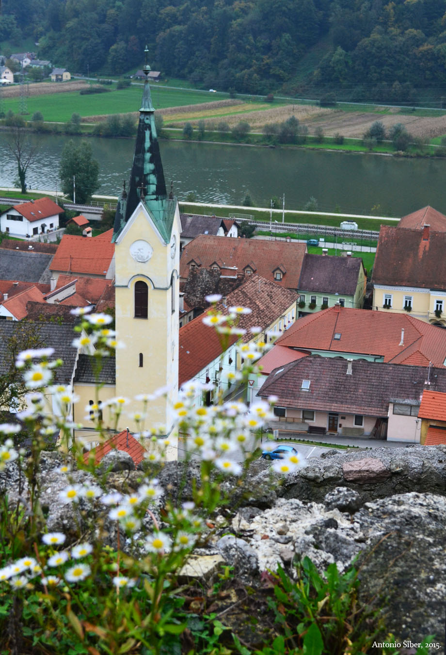 Sevnica