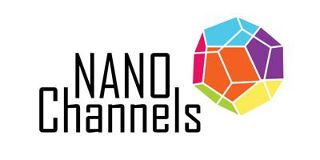 Nanochannels logo