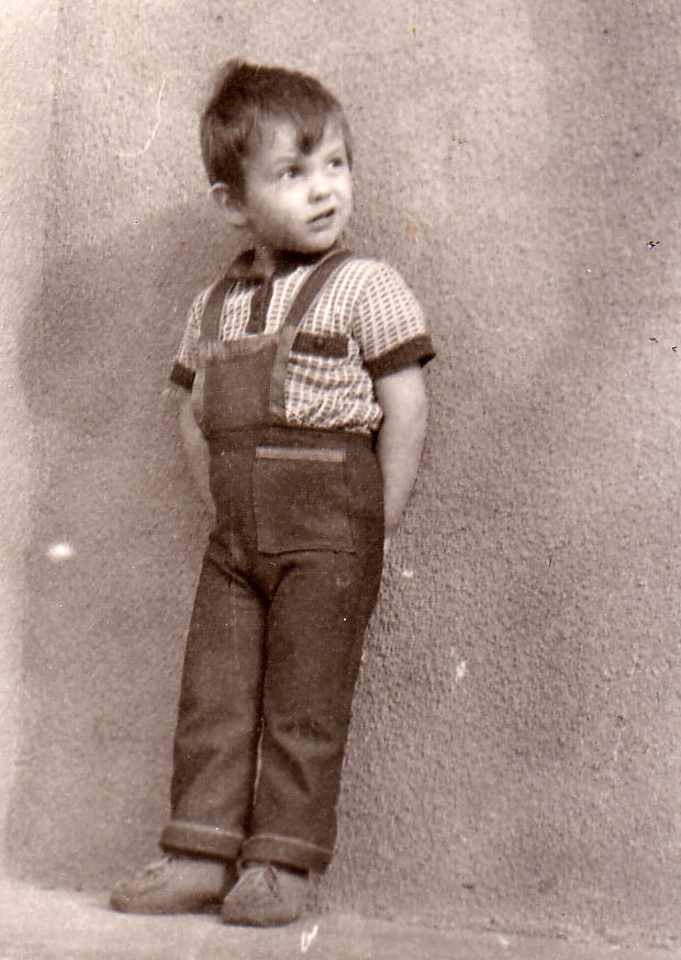 hrvatski intelektualac