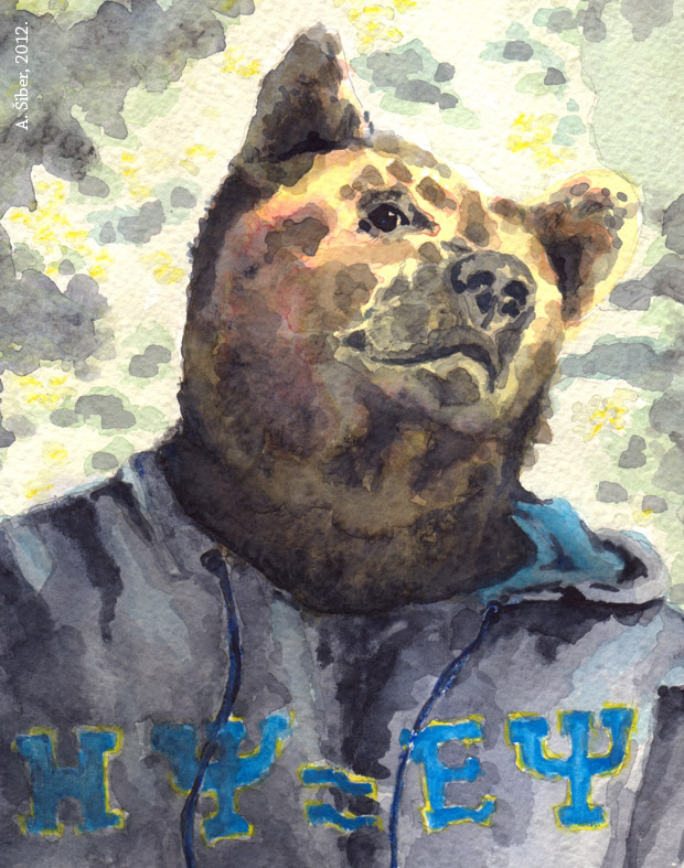 Medvjeđa kvantna mehanika